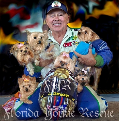 where is florida yorkie rescue located? 2